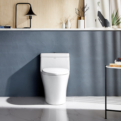 Sanitary Ware One Piece Toilets , Soft Closed Dual Flush S Trap Wc