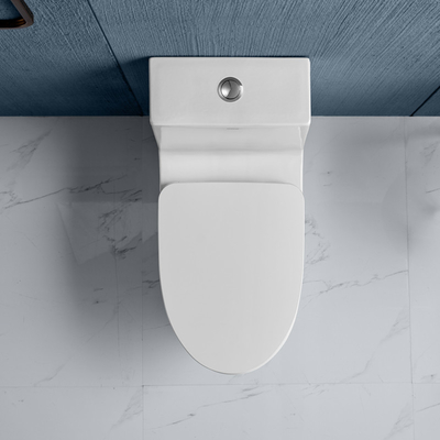 Dual Flush Elongated One Piece Toilets 0.9/1.3 GPF Siphon Jet