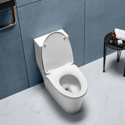 Dual Flush Elongated One Piece Toilets 0.9/1.3 GPF Siphon Jet