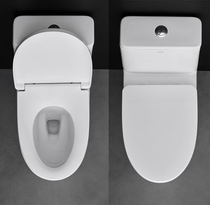 1.1 GPF One Piece Toilets Elongated 12 Inch Rough S trap 300mm