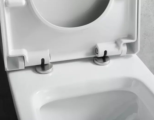 One Piece Siphon Flush Toilet Soft Closed Toilet Seat 3.7L