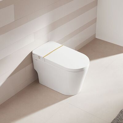 Arrow Automatic Operation Soft Close Smart Toilet with Concealed Tank Intelligent Modern Toilet